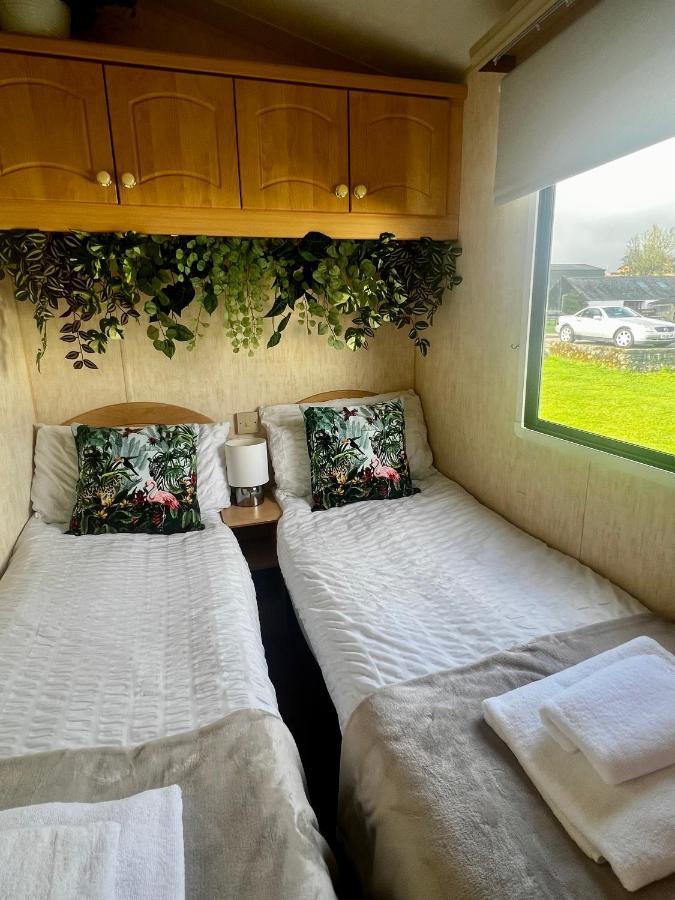 Jungle House No.26 At Three Lochs Holiday Park Newton Stewart Exterior photo